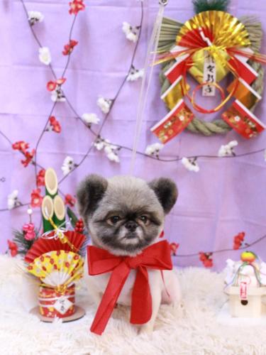 20230110リムルくん